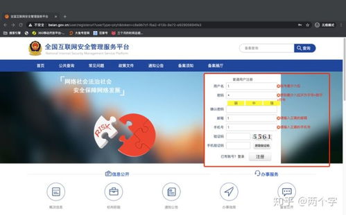互联网信息服务全面攻略 从入门到精通